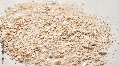 Natural beach sand and small seashells background texture with soft neutral tones for summer vacation design concepts and coastal living interior decoration