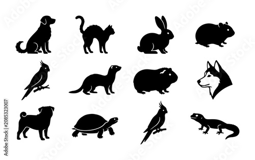 Photography Diverse Pet Silhouettes Collection: Dog, Cat, Rabbit, Bird, Hamster, Turtle, Fer