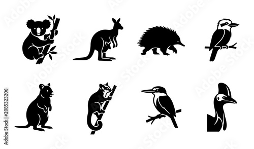 Photography Australian Wildlife Icons Set, Silhouette Vector Graphics of Native Animals, Koa