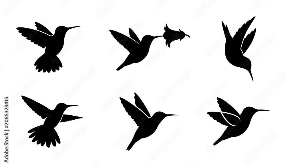 Fototapeta premium Hummingbird Silhouettes Vector Set, Delicate Bird Icons for Nature Designs, Elegant Flying Wildlife Graphics