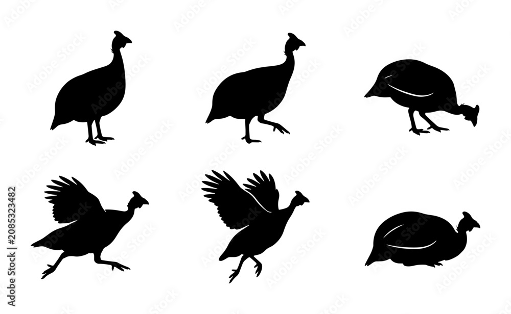 Obraz premium Guinea Fowl Silhouettes, Farm Bird Vector Icons, Poultry Animal Graphics, Domesticated Bird Poses
