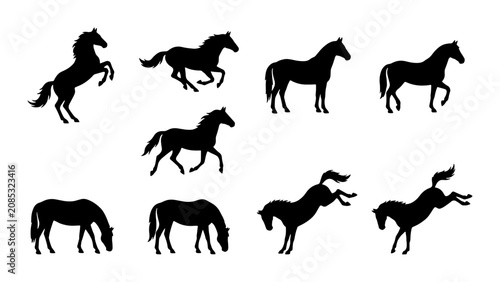 Cuadro en lienzo Horse Silhouettes Collection: Galloping, Rearing, Grazing Equine Poses, Vector A