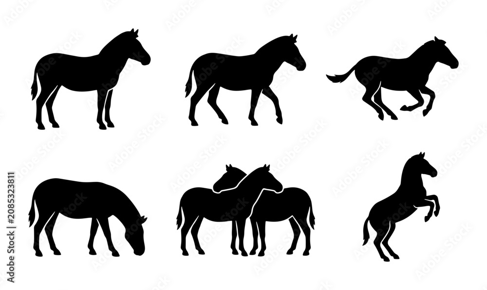 Obraz premium Horse Silhouettes Collection, Equine Poses Vector Set, Animal Graphics for Design