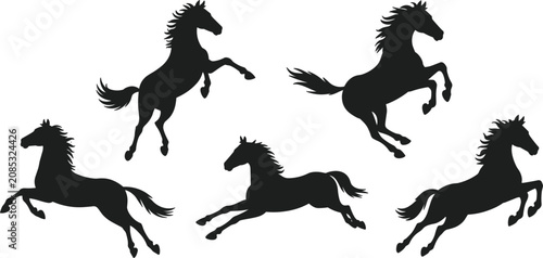 Schilderij op canvas Running horse silhouette vector set, isolated wild stallions galloping and reari