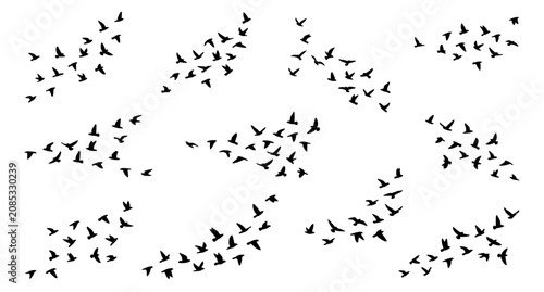 Cuadro en lienzo Minimalist silhouettes of migratory birds flying across open sky vector art comp