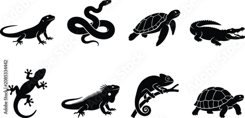 Fotografie Reptile and amphibian silhouette icon set featuring lizard snake sea turtle alli