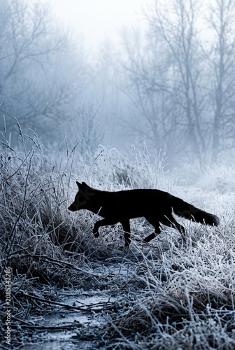 Generated ai The Silent Hunter Emerges From The Deep Fog