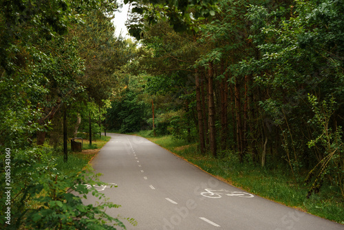 Canvastavla Asphalt bicycle path through dense green forest in summer, outdoor cycling infra