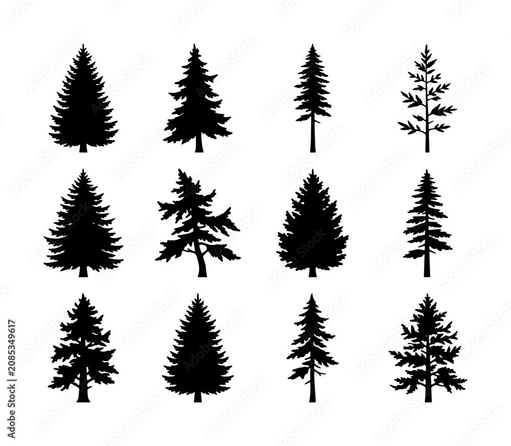 Obraz premium Conifer Tree Silhouettes Collection, Evergreen Forest Icons, Pine Spruce Fir Vector Graphics, Nature Woodland Elements, Black and White Botanical Illustrations
