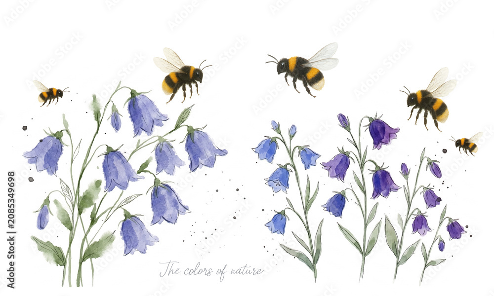 Obraz premium Entomology, Beetle, insect, grasshopper, flowers, spring, summer, beauty, watercolor, hand painting