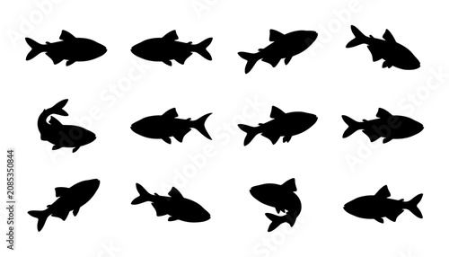 Obraz na płótnie Twelve Silhouette Fish Icons, Aquatic Life Vector Set, Marine Animal Graphics, U