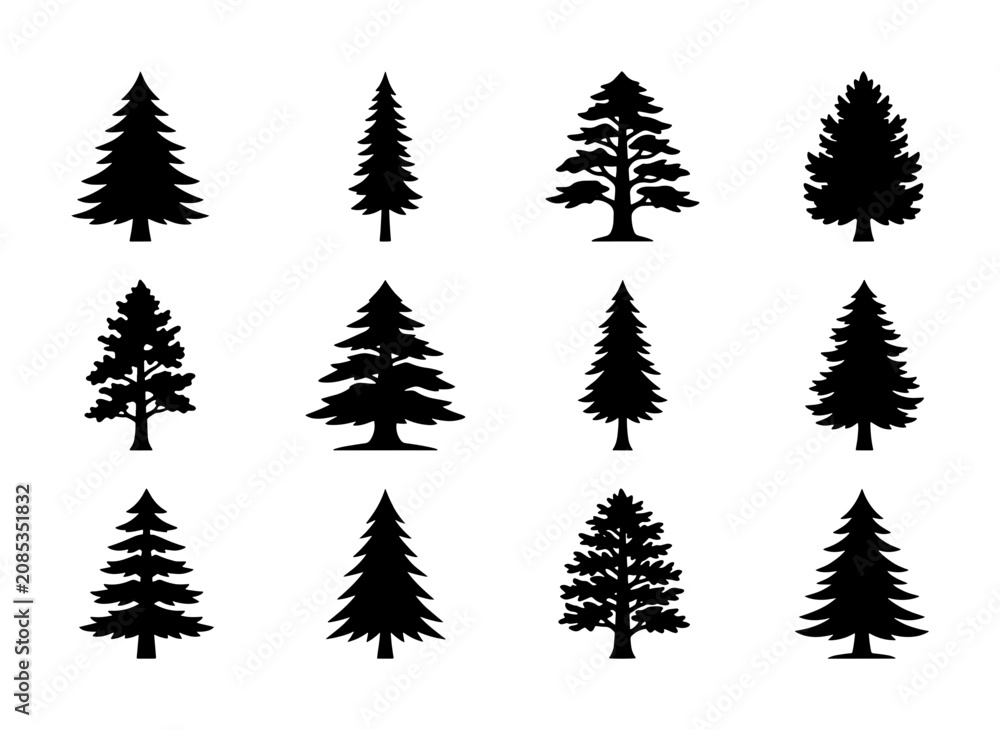 Obraz premium Conifer Tree Silhouettes Collection, Evergreen Forest Icons, Pine Spruce Fir Vector Set, Nature Woodland Elements for Design