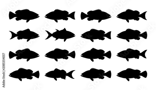 Obraz na płótnie Black Fish Silhouettes, Marine Life Vector Icons, Aquatic Animal Collection, Sea