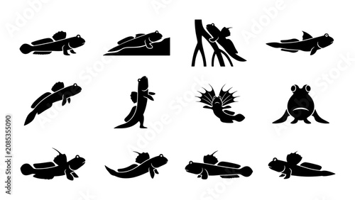 Fotografie Mudskipper Icons Set, Aquatic Amphibious Fish Vector Graphics, Marine Wildlife S