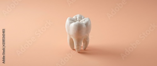 White Human Molar Tooth Anatomical Model on Peach Background