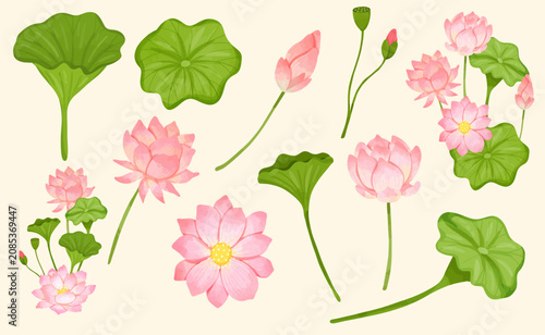 Lotus Flower Watercolor Illustration Set for Spa and Wellness