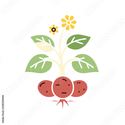 Vegetable Botanical Sticker