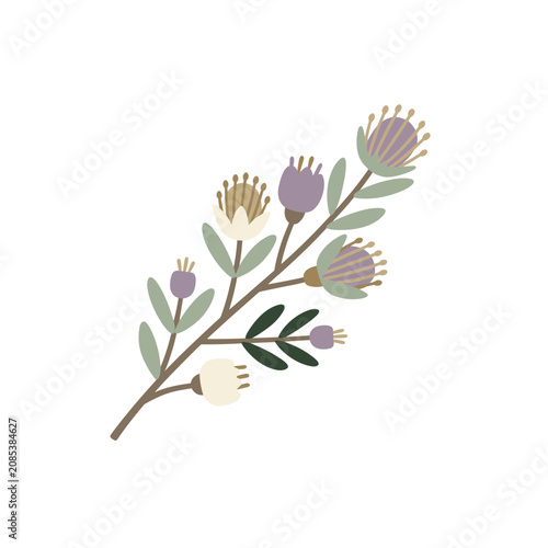 Banksia Botanical Sticker