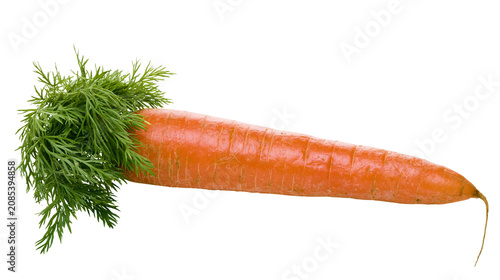 Foto Orange carrot with green leafy tops and visible texture