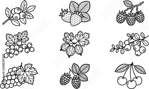 Schilderij op canvas A collection of nine distinct black and white line art illustrations depicting v