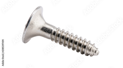 Fotografie Silver metal wood screw with countersunk head and sharp point