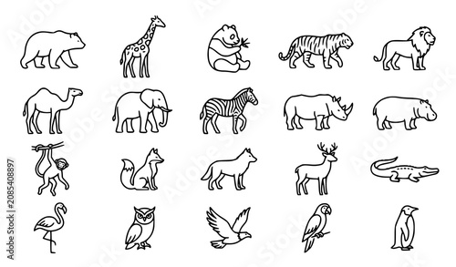Photography Wild Animal Outline Icons Collection Featuring Mammals Birds Reptiles and Safari