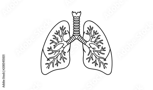 Foto Human Respiratory System Line Art Vector Illustration for Medical Anatomy and He