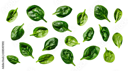 Fresh green spinach leaves scattered