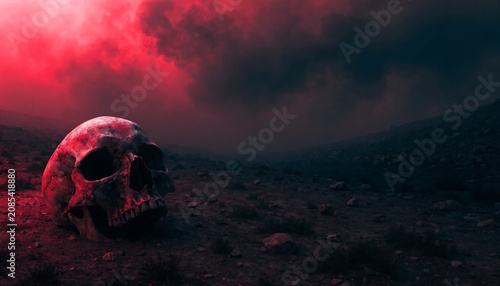 An High quality stock photo, A weathered human skull on dark volcanic rock with apocalyptic red and orange smoke.