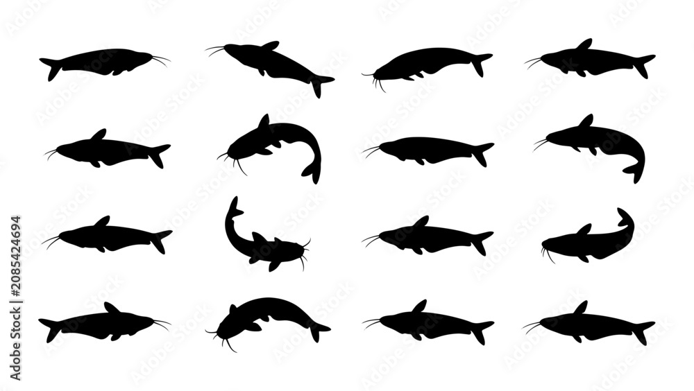 Fototapeta premium Catfish Silhouette Collection, Diverse Poses and Angles, Aquatic Animal Vector Icons, Black and White Marine Life Graphics