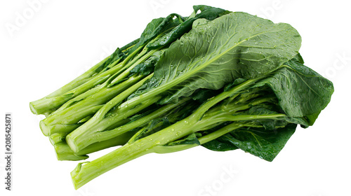 Quadro su tela Fresh Chinese Broccoli Stems and Leaves with Water Droplets