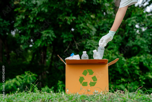 Volunteer placing plastic bottles into a recycling box during an environmental cleanup. Sustainable waste management, circular economy, eco-friendly action.