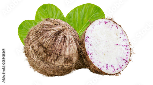 Obraz na plátně Whole and halved taro root with green leaves
