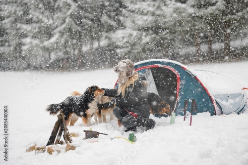 Cuadro en lienzo In a serene winter landscape, a person engages joyfully with playful dogs amid f
