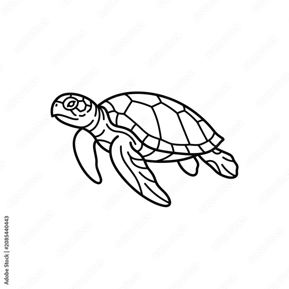 Fototapeta premium Swimming sea turtle line art graphic isolated on transparent background for ocean wildlife concept.