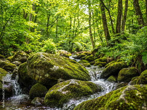 Konstfotografi Dynamic forest stream with clear water flowing over large, moss-covered rocks under dappled sunlight in a lush woodland