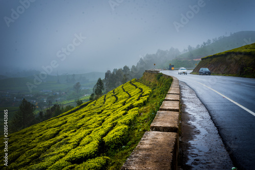 Monsoon Landscape and tourism in Munnar Kerala India
