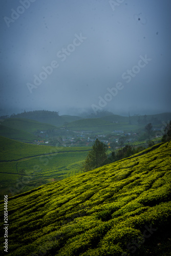 Monsoon Landscape and tourism in Munnar Kerala India