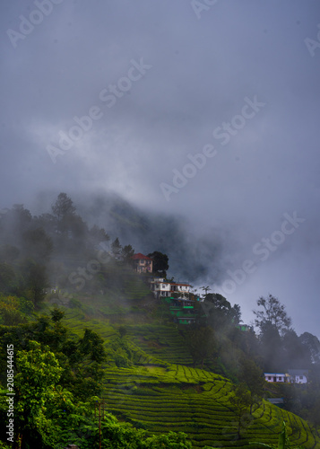 Monsoon Landscape and tourism in Munnar Kerala India