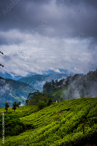 Monsoon Landscape and tourism in Munnar Kerala India
