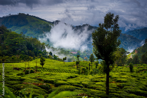 Monsoon Landscape and tourism in Munnar Kerala India