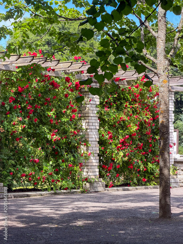 Beautiful garden scene with red flowers along a brick wall in a park during daylight hours