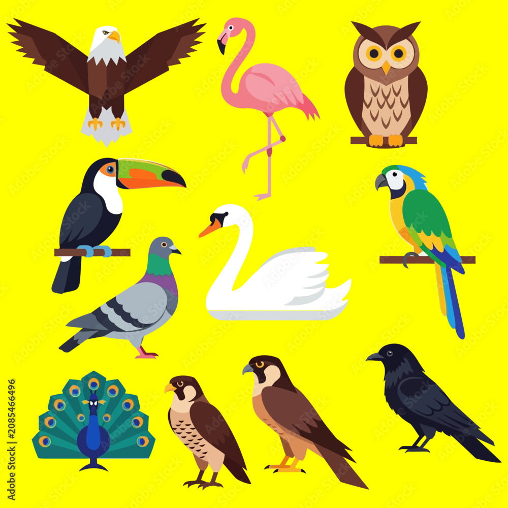 Fototapeta premium Colorful illustration of various birds on branches and standing around.