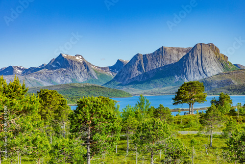 Blick über den Efjord in Norwegen