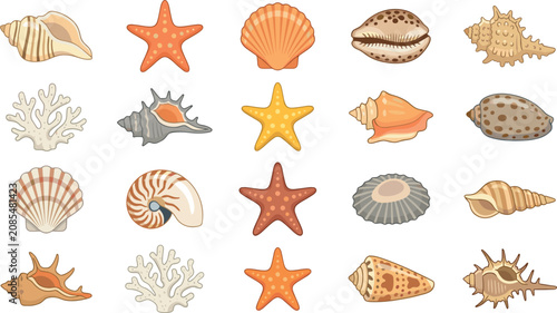 Fotografie Sea shell and starfish vector collection featuring diverse ocean shells nautilus