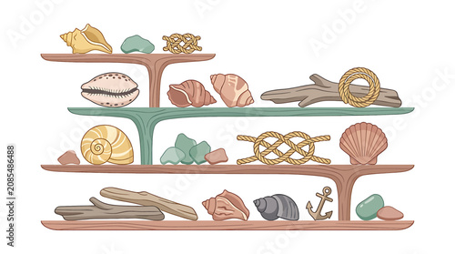Obraz na płótnie Colorful illustrated collection of seashells and marine artifacts