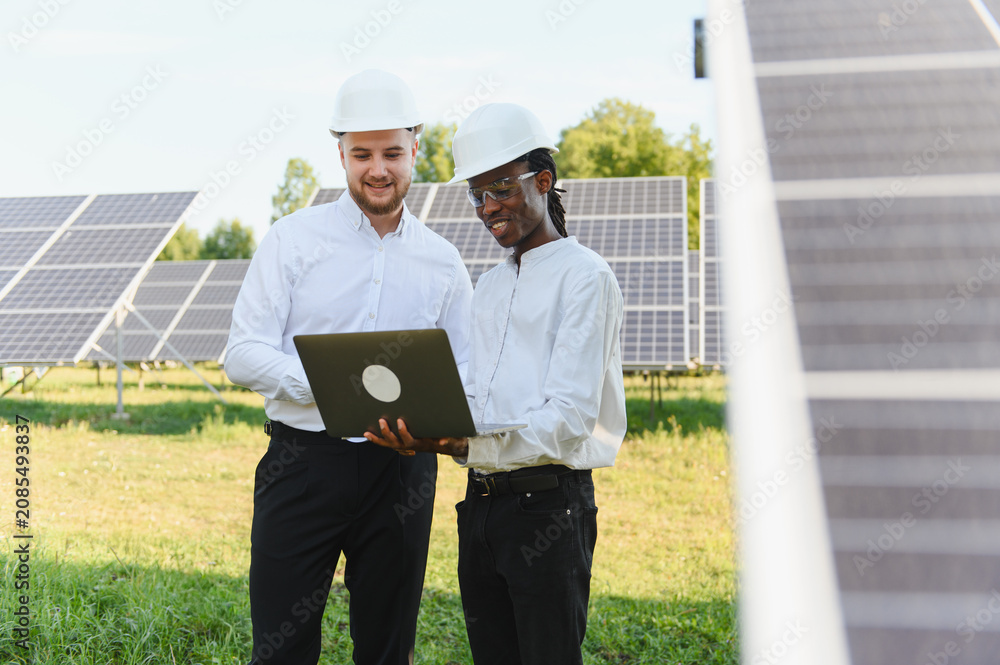 Fototapeta premium Engineers collaborating on solar panel field using laptop