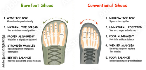 Barefoot shoes.Compare regular shoes to barefoot shoes. These shoes have a flexible upper and sole and a wide toe box, allowing the feet to move and bend naturally,and effectively engaging every bone