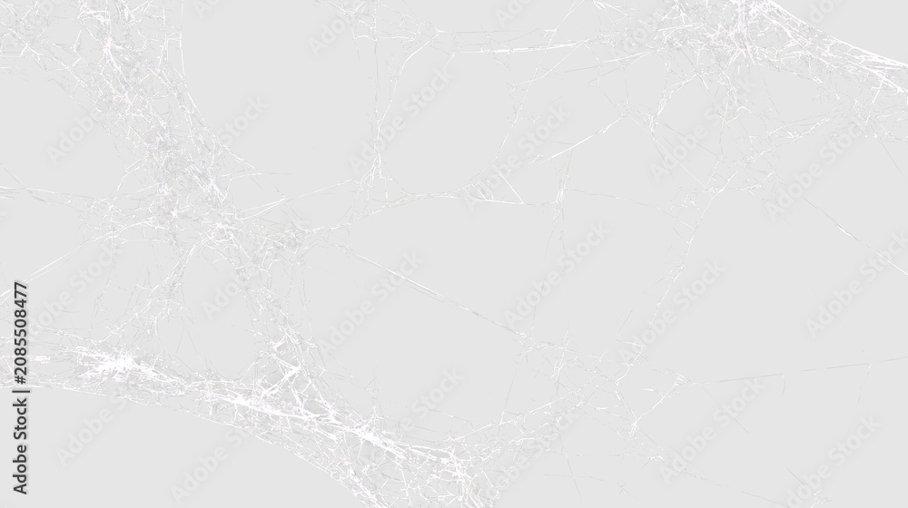 Obraz premium Spider web with fine strands of silk on transparent background during daylight in a natural setting