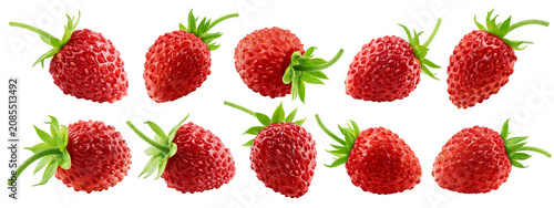 wild Strawberry isolated, full depth of field